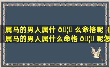 属马的男人属什 🦍 么命格呢（属马的男人属什么命格 🦁 呢怎么解释）